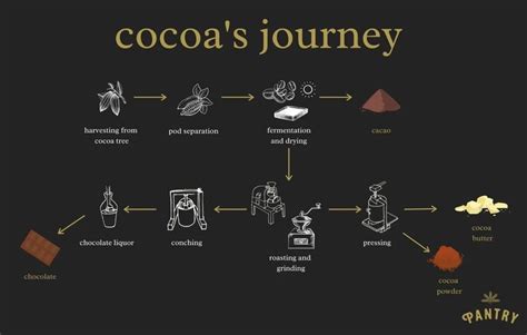 The magic of cocoa conceptions